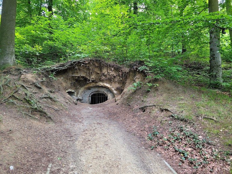 Park Oruński im. Emilii Hoene