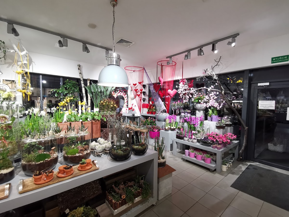 Prosta Forma Kwiaty — Florist