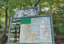 Trójmiejski Park Krajobrazowy