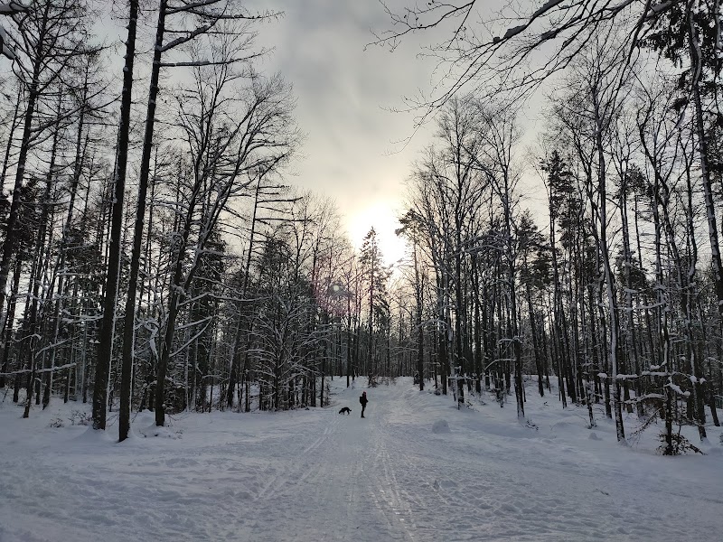 Trójmiejski Park Krajobrazowy