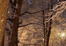 Zielona oaza zamiast dzikiego wysypiska: niezwykła historia Parku Kilońskiego w Gdyni